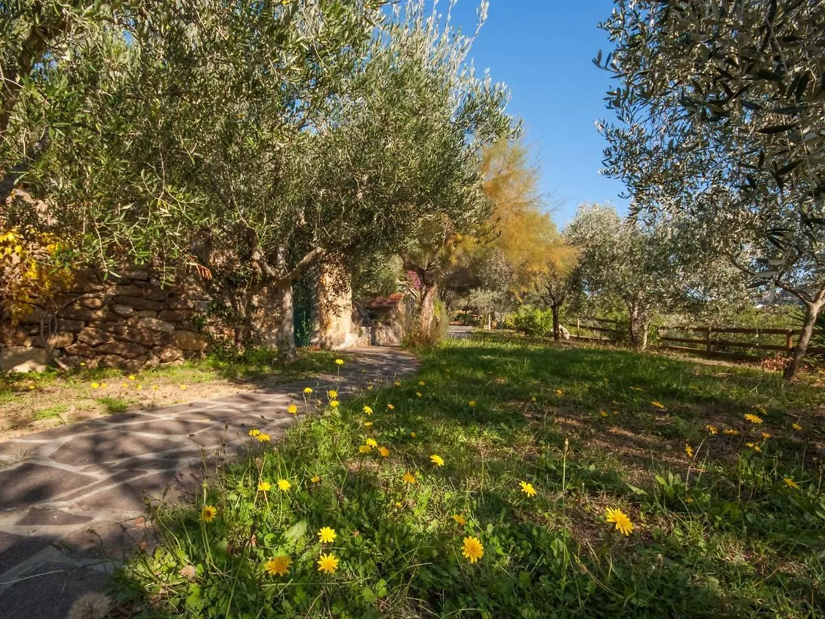 Holiday Home Piccola Oasi-5 By Interhome كابوليفيري